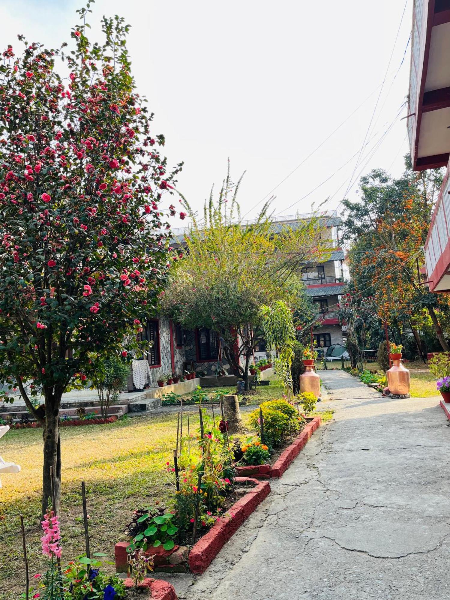 Butterfly alojamiento Pokhara Exterior foto